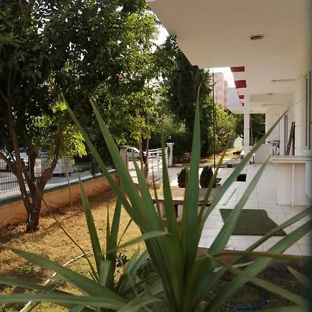 Nurer Kiz Aparti